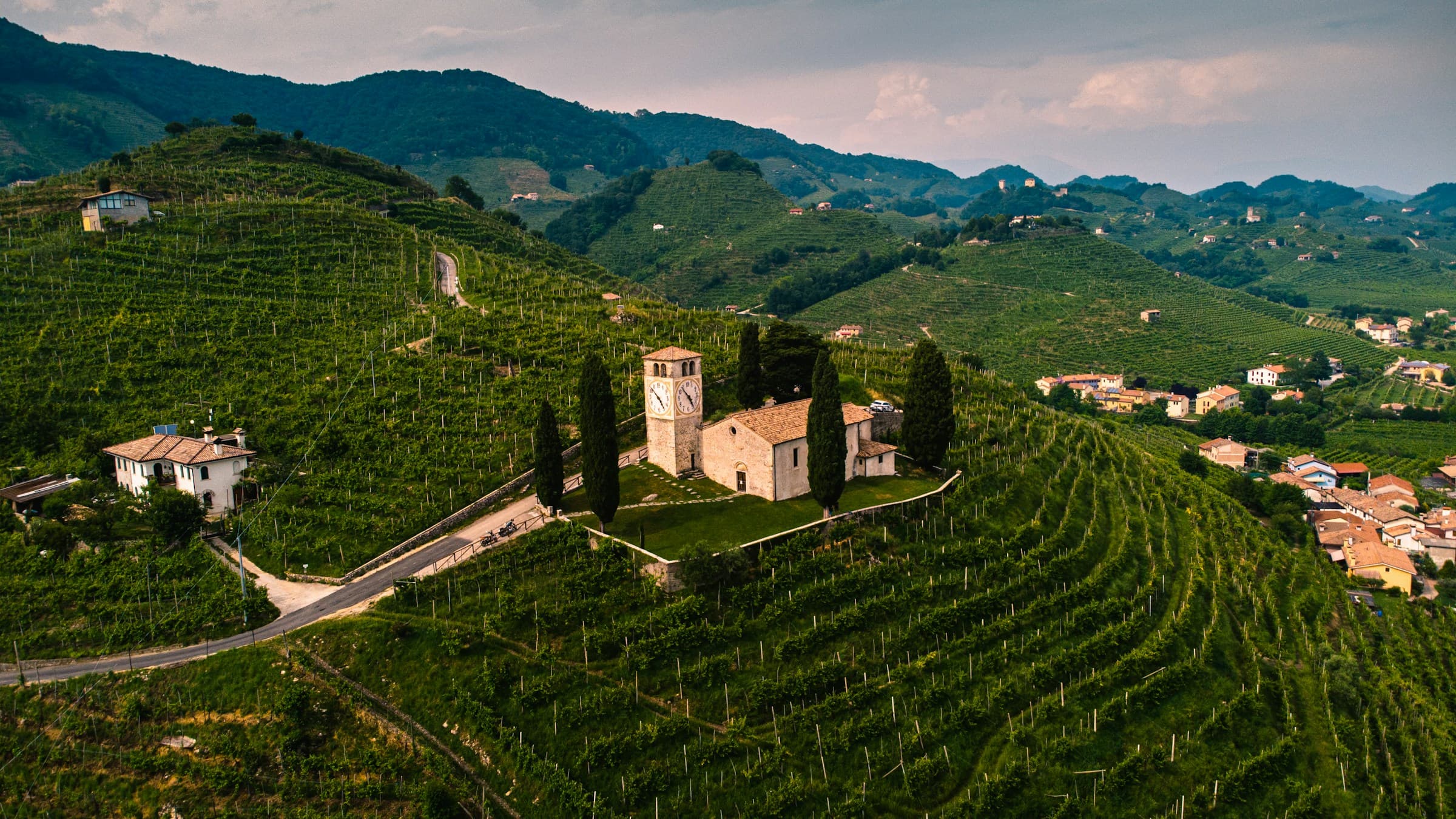 Alcohol advertising — Spirits · Wine · Craft