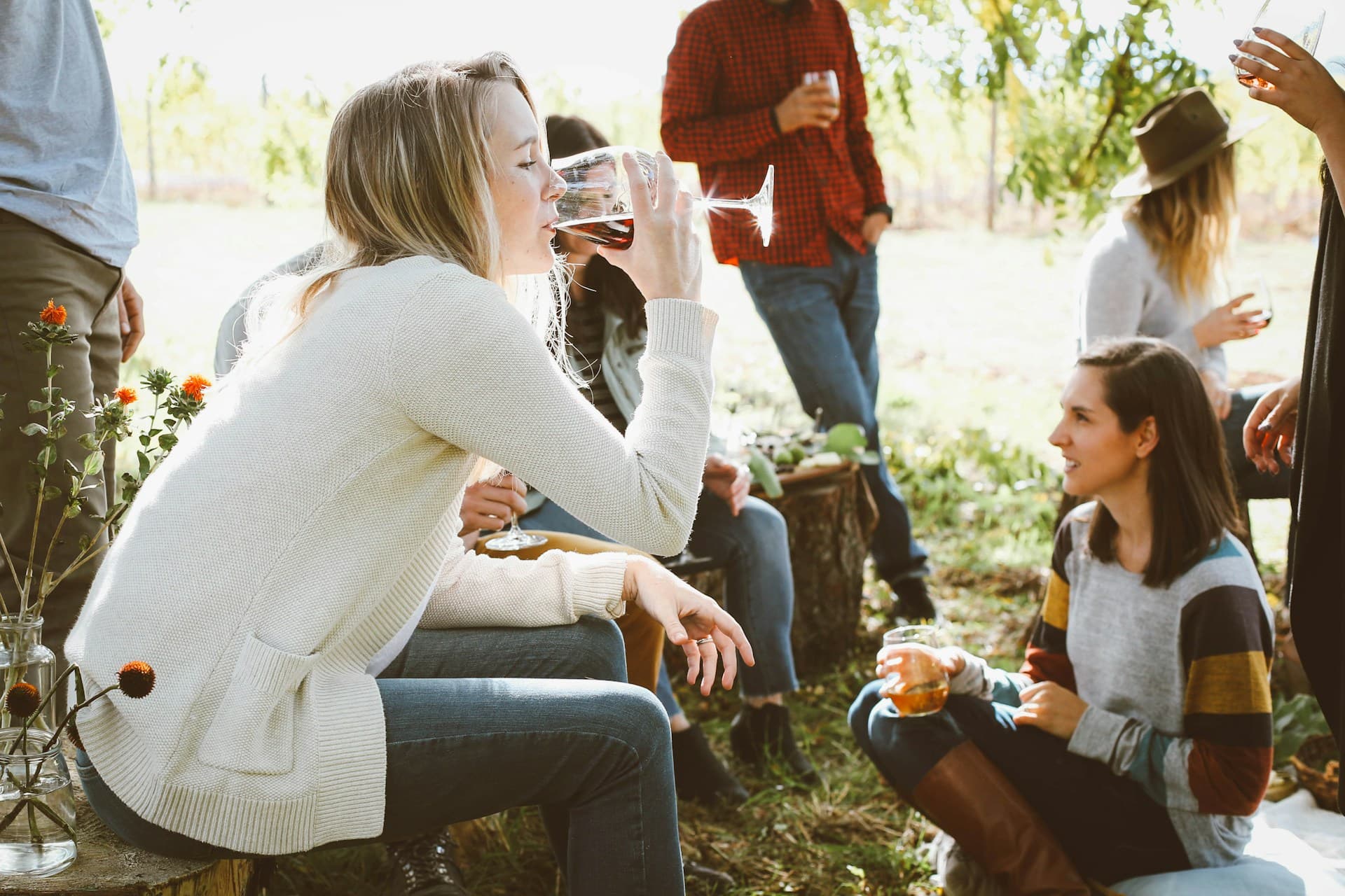 Social Consumer — Alcohol persona