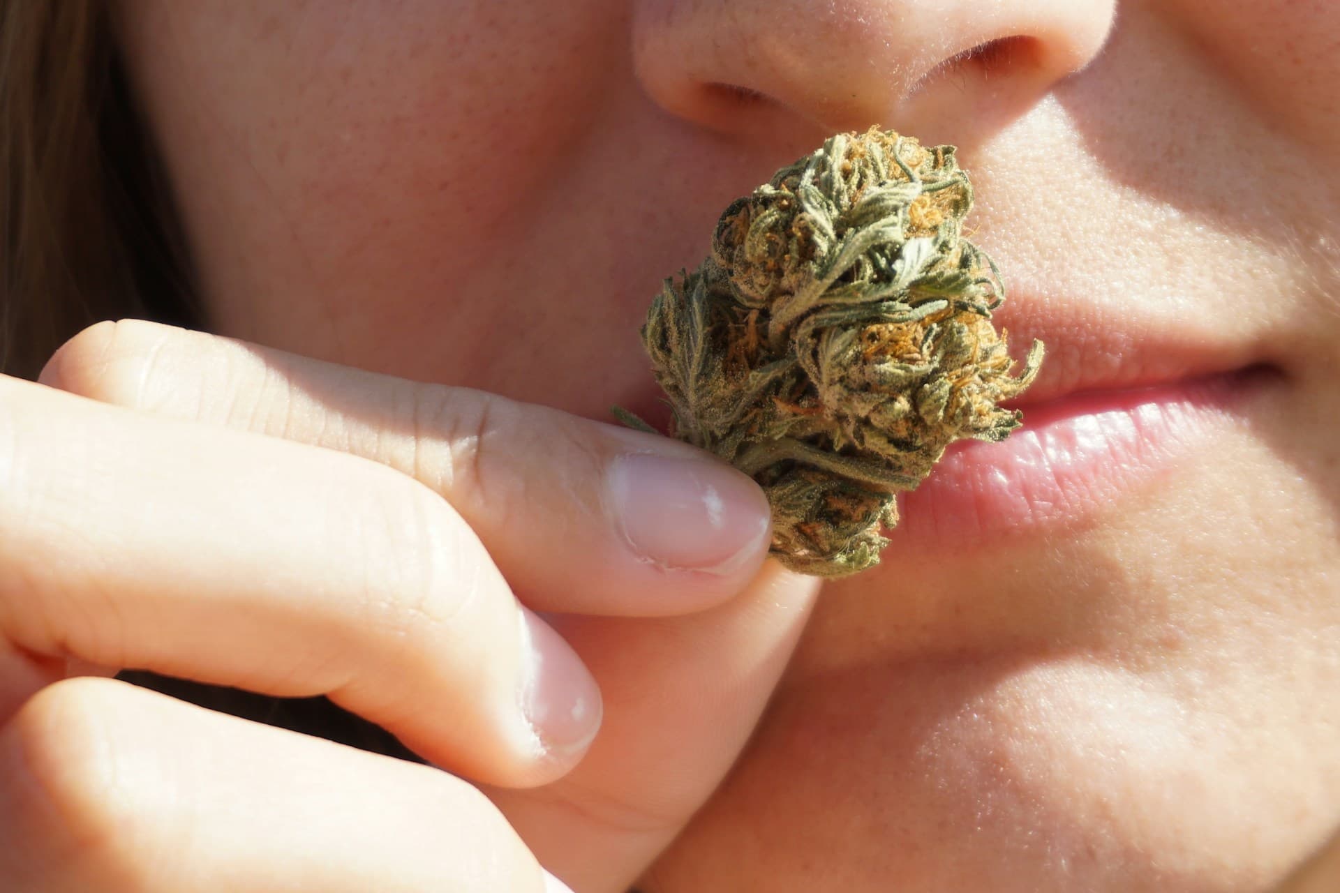 High Frequency Core — Cannabis persona